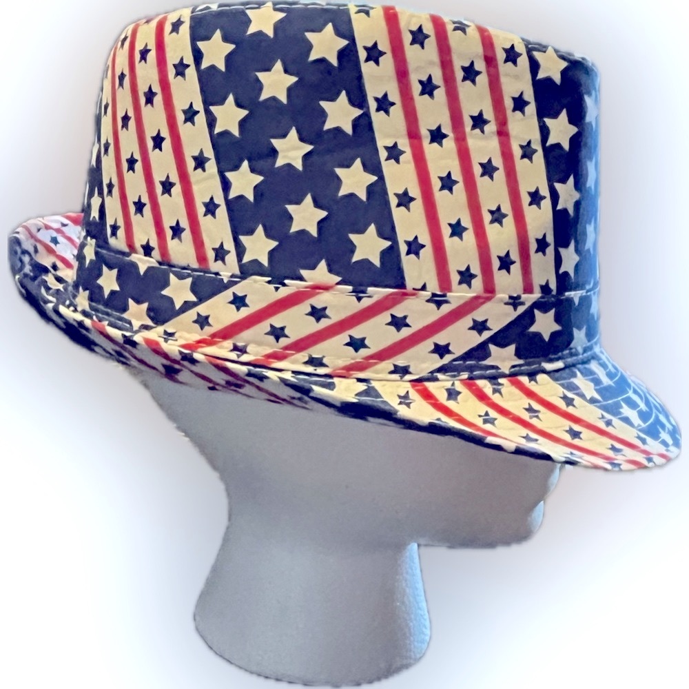WESTEND ⭐️ Stars & Stripes Fedora - Picture 6 of 12